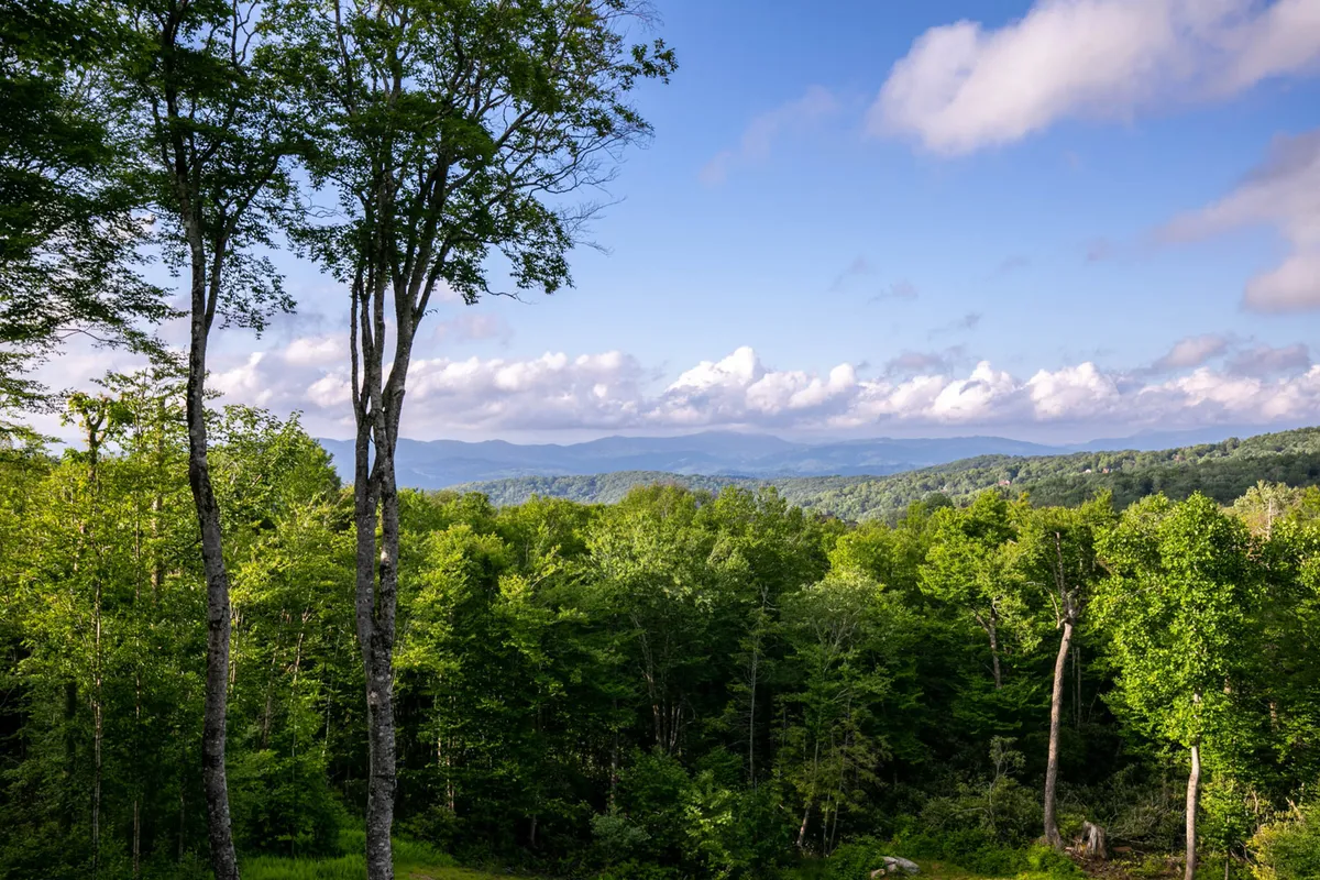 A captivating view of tall trees and distant mountains under an expansive sky, ideal for sunrise watching and stargazing, envelops visitors in a sense of seclusion and awe.